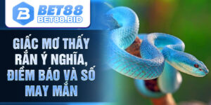 Giấc Mơ Thấy Rắn